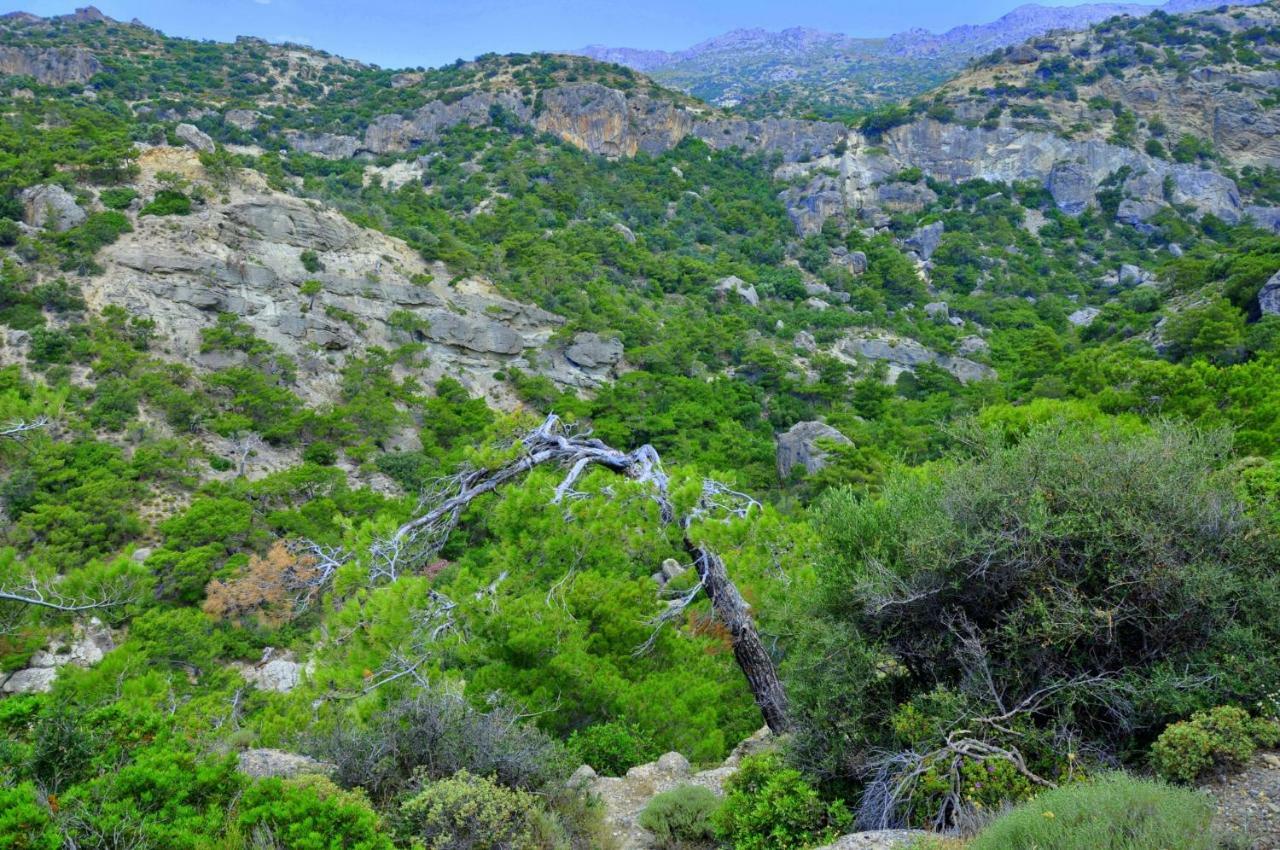 Dream Residence Agios Ioannis  外观 照片